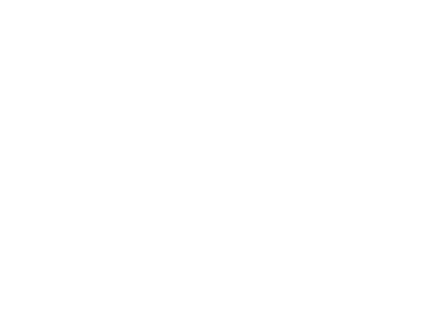 Smart Real Estate Coach copy